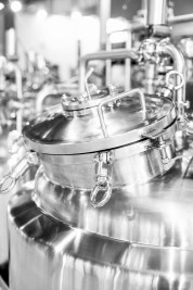 crystal-kwok-487014-unsplash (2)