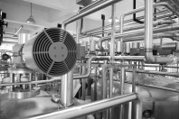 crystal-kwok-487019-unsplash (2)