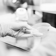 drew-hays-206414 (3)